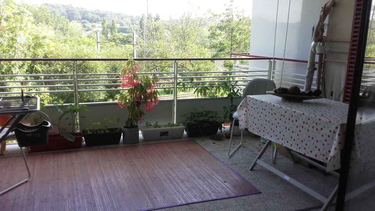 Luckeyhost - T2 Terrasse vue Montagne proche mer Bidart Extérieur photo